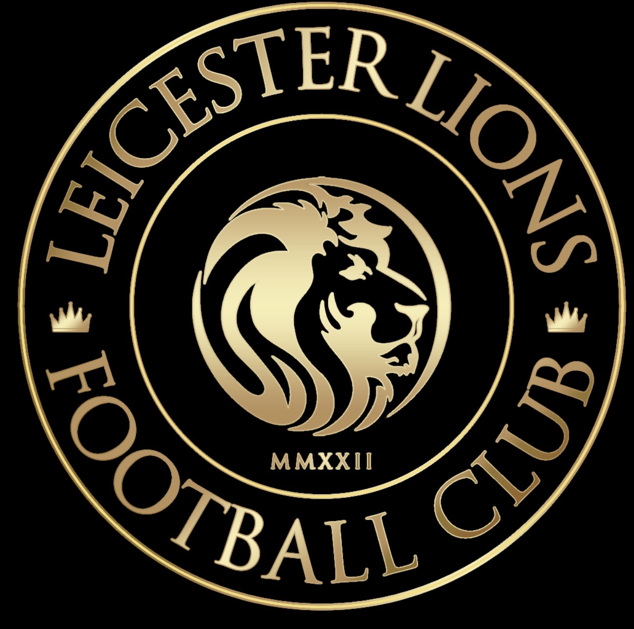 Leicester Lions FC